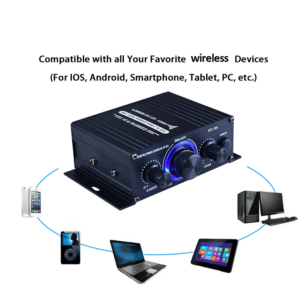 Dual Channel Digital Amplifier