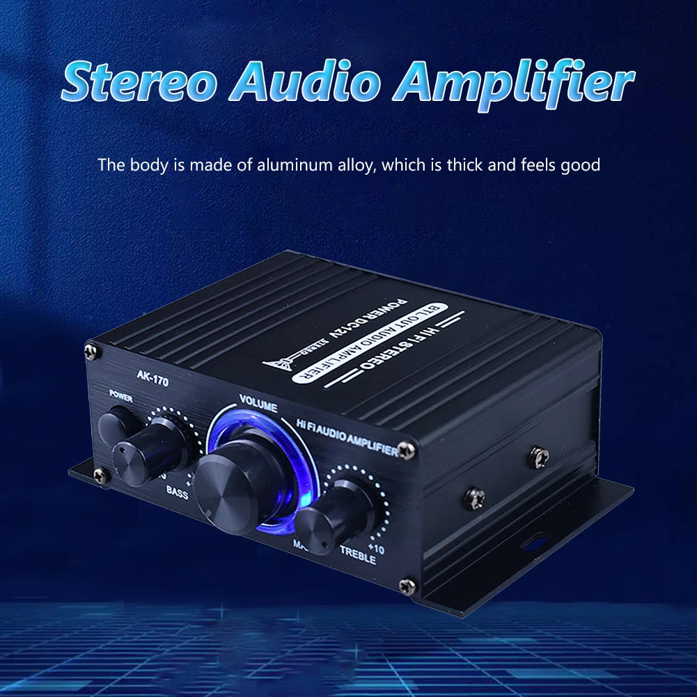 Dual Channel Digital Amplifier