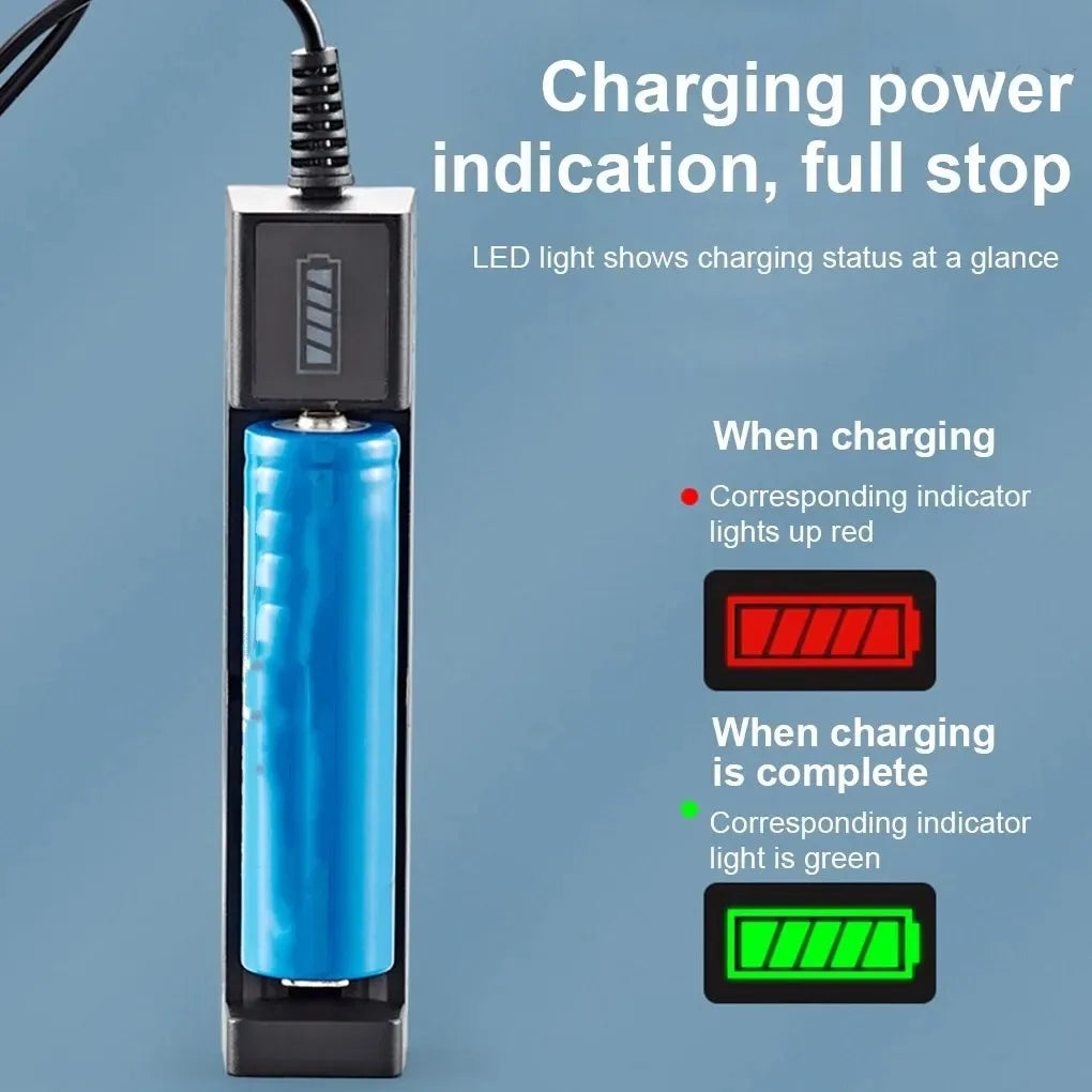 Dual 18650 Battery Charger