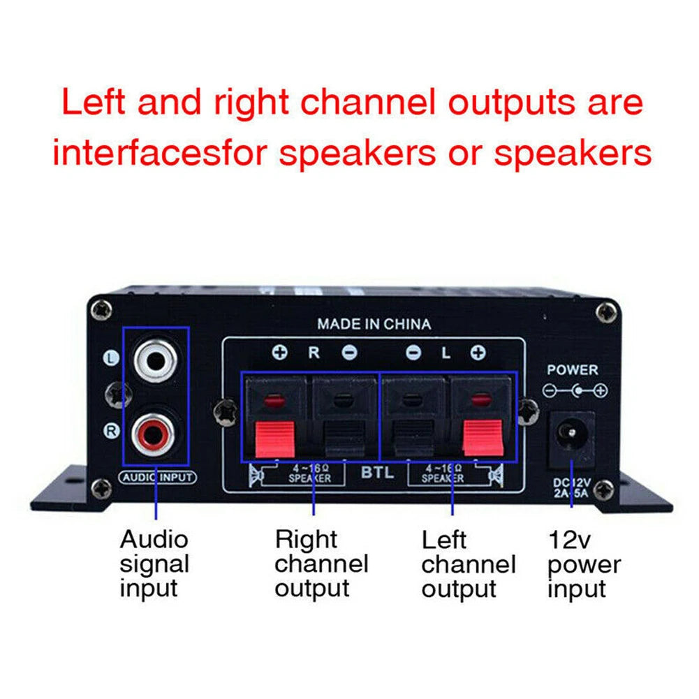 Dual Channel Digital Amplifier